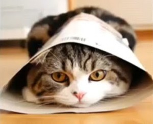 Maru