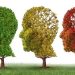Degradação causada pela Alzheimer