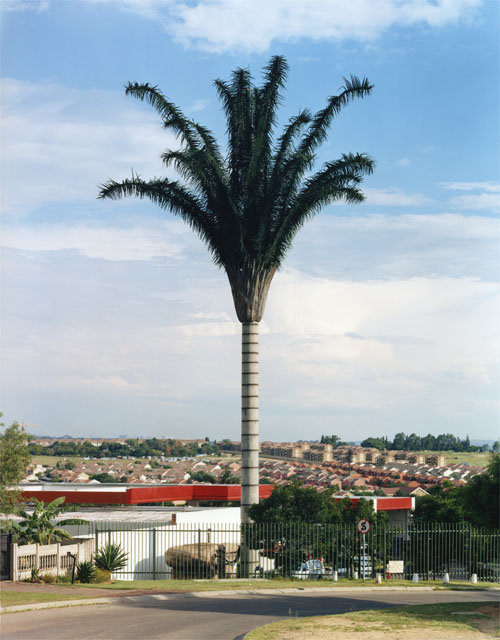 robertvoit_new_trees_2