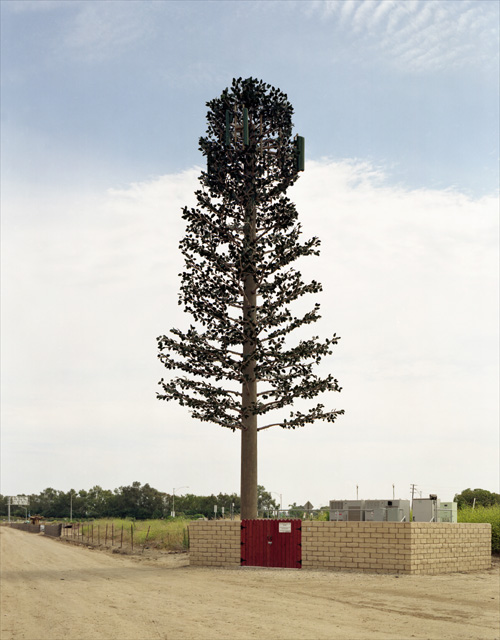 robertvoit_new_trees_4