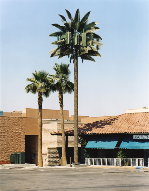 robertvoit_new_trees_5